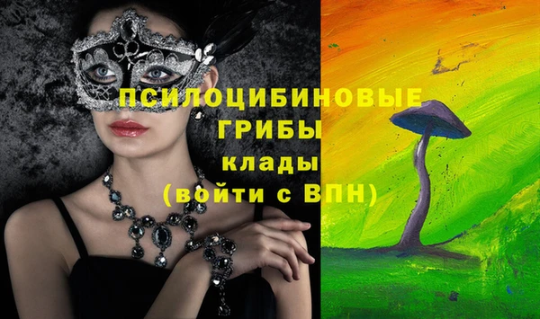 спайс Карталы